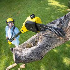 Seasonal Cleanup (Spring/Fall) in Innsbrook, VA