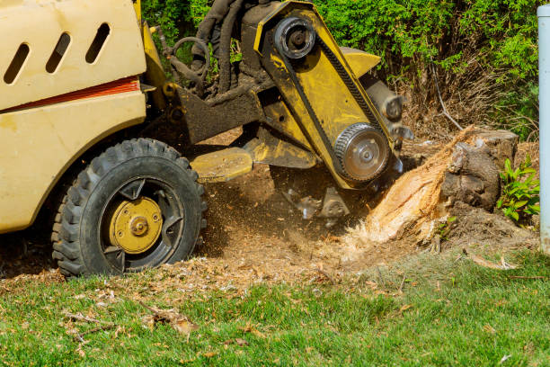 Best Firewood Processing and Delivery  in Innsbrook, VA