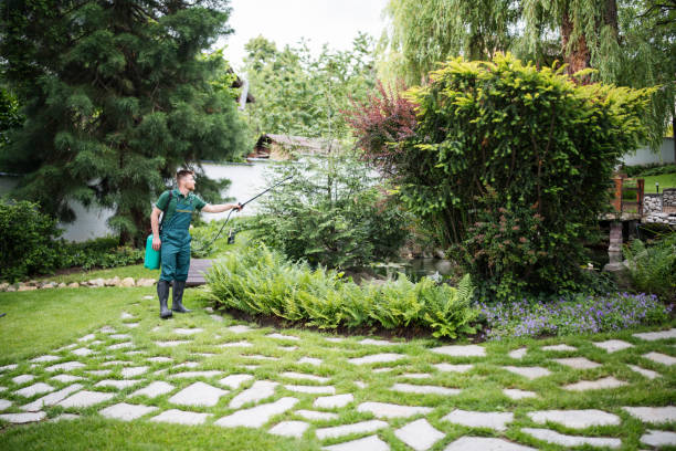 Best Lawn Grading and Leveling  in Innsbrook, VA