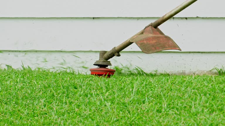 Best Arborist Consultation Services  in Innsbrook, VA