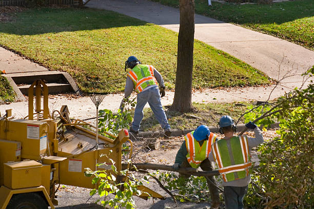  Innsbrook, VA Tree Services Pros