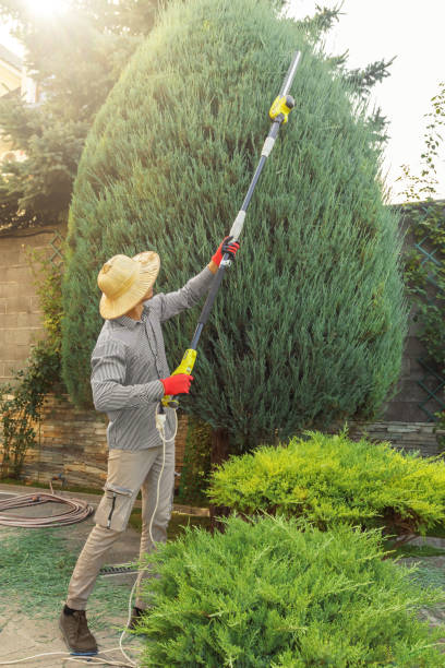 Best Weed Control  in Innsbrook, VA